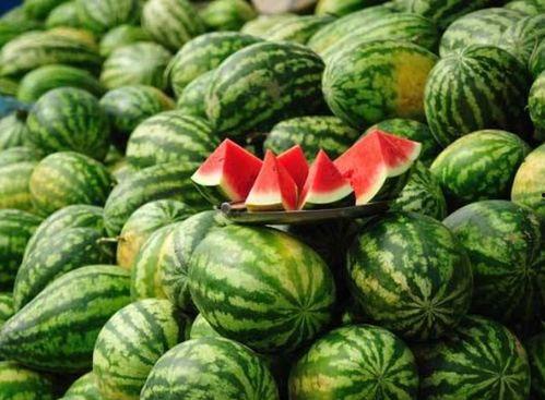 临沧网红吃瓜事件真相是真的吗,真相揭秘,还原事件始末 第1张 临沧网红吃瓜事件真相是真的吗,真相揭秘,还原事件始末 第1张