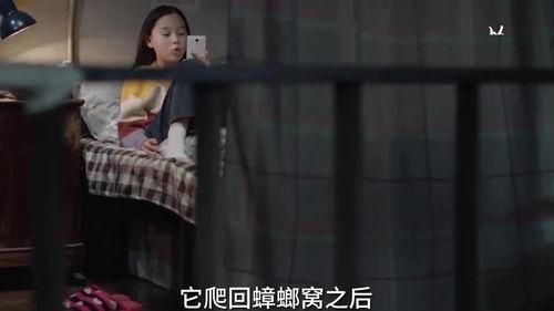 娃娃影视爆料视频,揭秘热门影视幕后故事  第1张